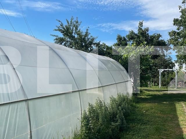 Casa de vânzare 4 camere Lapus - 152559CV | BLITZ Craiova | Poza13