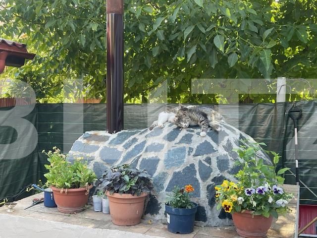 Casa de vânzare 4 camere Lapus - 152559CV | BLITZ Craiova | Poza10