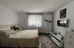 Casa P+1, 589 mp teren și spațiu comercial la strada, zona Elena Teodorini