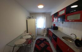 Apartament de 2 camere, cartier Brazda, zona Big Family