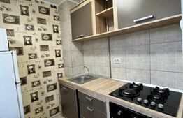 Garsoniera spatioasa, zona ultracentrala, langa Teatrul National 