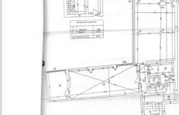 Spatiu comercial, 150 mp, zona Bulevardul Nicolae Titulescu, plan parter