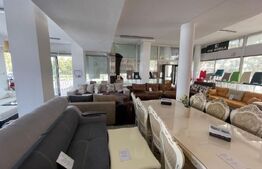 Spatiu comercial, 80 mp, zona Centrala, Bulevardul Nicolae titulescu