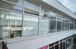 Spatiu comercial, 235 mp, zona Calea severinului