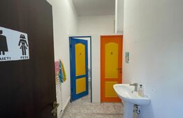 Spatiu comercial, 235 mp, zona Calea severinului