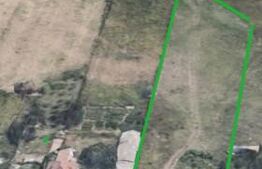 Teren intravilan, 6500 mp, stradal la E79, pretabil investiție, Braniste!