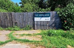 Teren intravilan, 6500 mp, stradal la E79, pretabil investiție, Braniste!