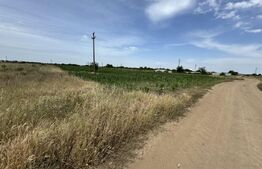 Teren intravilan industrial, 5622 mp, zona Carcea