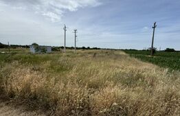 Teren intravilan industrial, 5622 mp, zona Carcea