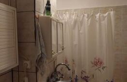 Apartament de 2 camere , 50mp, zona Brazda-Consul