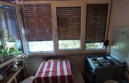 Apartament de 2 camere , 50mp, zona Brazda-Consul