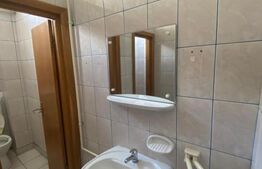 Spatiu comercial, 173 mp, zona Ultracentrala