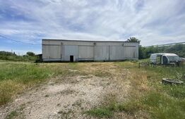 Hala 800 mp, Teren 3292 mp, vizibilitate din E70