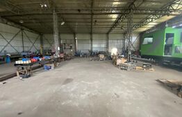 Hala 800 mp, Teren 3292 mp, vizibilitate din E70