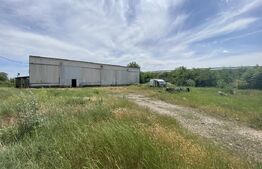 Hala 800 mp, Teren 3292 mp, vizibilitate din E70