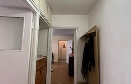 Apartament 2 camere, 60 mp, zona Căminului 10