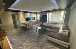 Apartament , 49mp  Calea Bucuresti ,Zona Rotonda