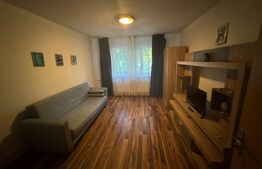 Apartament 2 camere decomandate parter, 45mp, zona Garii