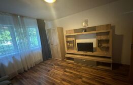 Apartament 2 camere decomandate parter, 45mp, zona Garii