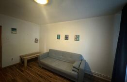 Apartament 2 camere decomandate parter, 45mp, zona Garii