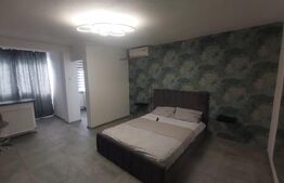 Garsoniera 30 mp Brazda