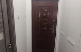 Garsoniera 30 mp Brazda