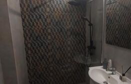 Garsoniera 30 mp Brazda