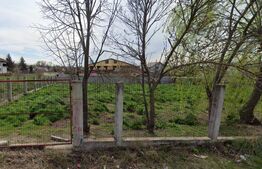 Teren Intravilan 1635 mp cu deschidere 30 ml in Malu Mare