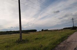  Teren 1000 mp , zona Carcea, Hanul cu ponei