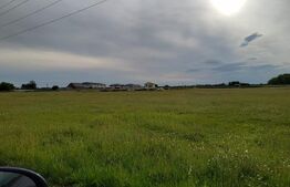  Teren 1000 mp , zona Carcea, Hanul cu ponei