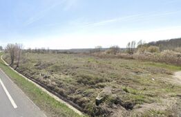 Teren 4910 mp intravilan, deschidere 100 m la E70, zona Isalnita