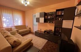 Apartament cu 2 camere, mobilat/utilat, în zona Valea Roșie