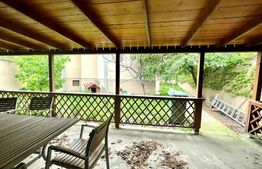 Casa D+P+M, 260 mp utili, 500 mp teren, zona Agronomie