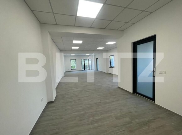 Spațiu birouri de închiriat Craiovita Noua - 153562SIB | BLITZ Craiova | Poza6