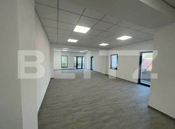 Spațiu birouri de închiriat Craiovita Noua - 153562SIB | BLITZ Craiova | Poza4
