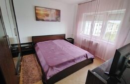 Apartament de 3 camere, renovat, 80 mp, aer condiționat, zona 1 Mai