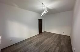 Garsoniera pretabila activitate de birouri, zona ultracentrala, Mercur