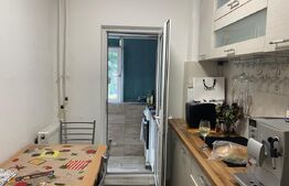 Apartament 2 camere, parter 39 metri patrati, Craiovita noua