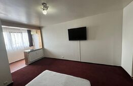 Garsoniera, 32 mp, zona Brazda