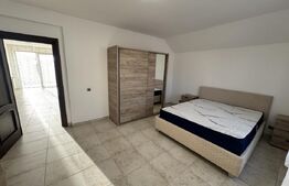  Vilă 250mp utili regim P+1, zona Ford