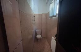 Spatiu comercial cu vad, 100 mp, cartier Craiovita Noua, zona Materna