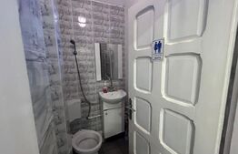 Spatiu comercial cu vad, 99 mp, trifazic, zona Billa