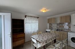 Casă pe parter, 3 dormitoare, 2 bucătării, 2 băi, 357 mp teren, Catargiu