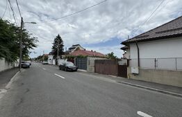 Casă pe parter, 3 dormitoare, 2 bucătării, 2 băi, 357 mp teren, Catargiu