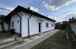 Casă pe parter, 3 dormitoare, 2 bucătării, 2 băi, 357 mp teren, Catargiu