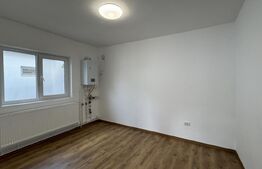 Casă pe parter, 3 dormitoare, 2 bucătării, 2 băi, 357 mp teren, Catargiu