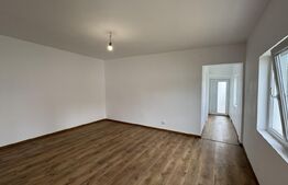 Casă pe parter, 3 dormitoare, 2 bucătării, 2 băi, 357 mp teren, Catargiu