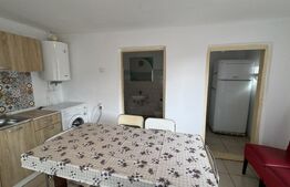 Casă pe parter, 3 dormitoare, 2 bucătării, 2 băi, 357 mp teren, Catargiu