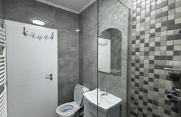 Casă pe parter, 3 dormitoare, 2 bucătării, 2 băi, 357 mp teren, Catargiu