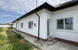 Casă pe parter, 3 dormitoare, 2 bucătării, 2 băi, 357 mp teren, Catargiu